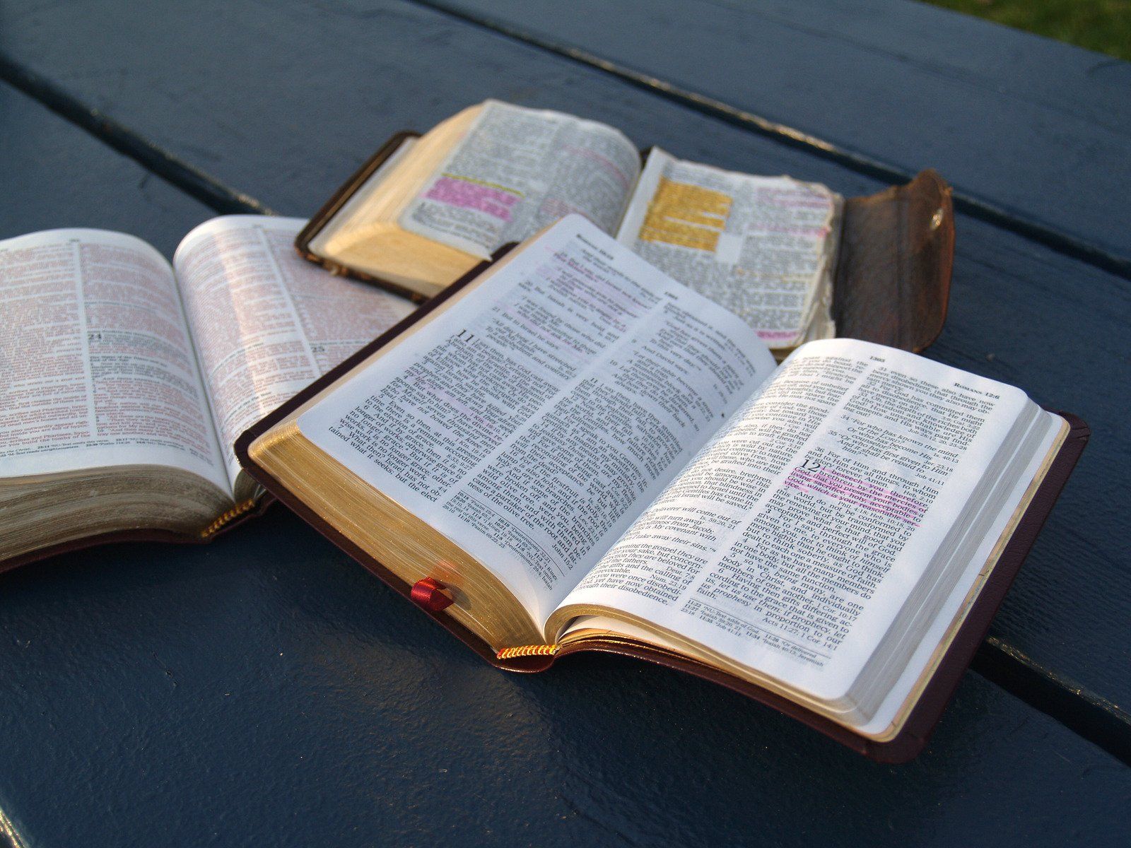 Bible Study
